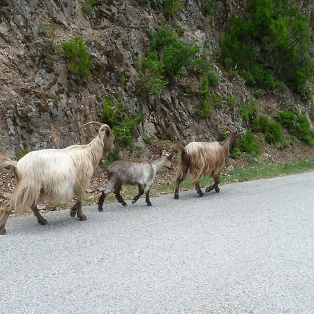 Hotel Et Costa Rossa