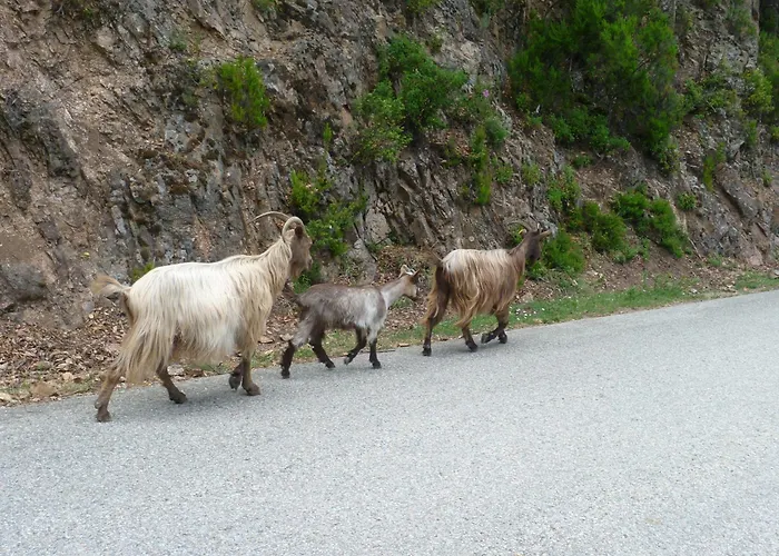 מלון Et Costa Rossa